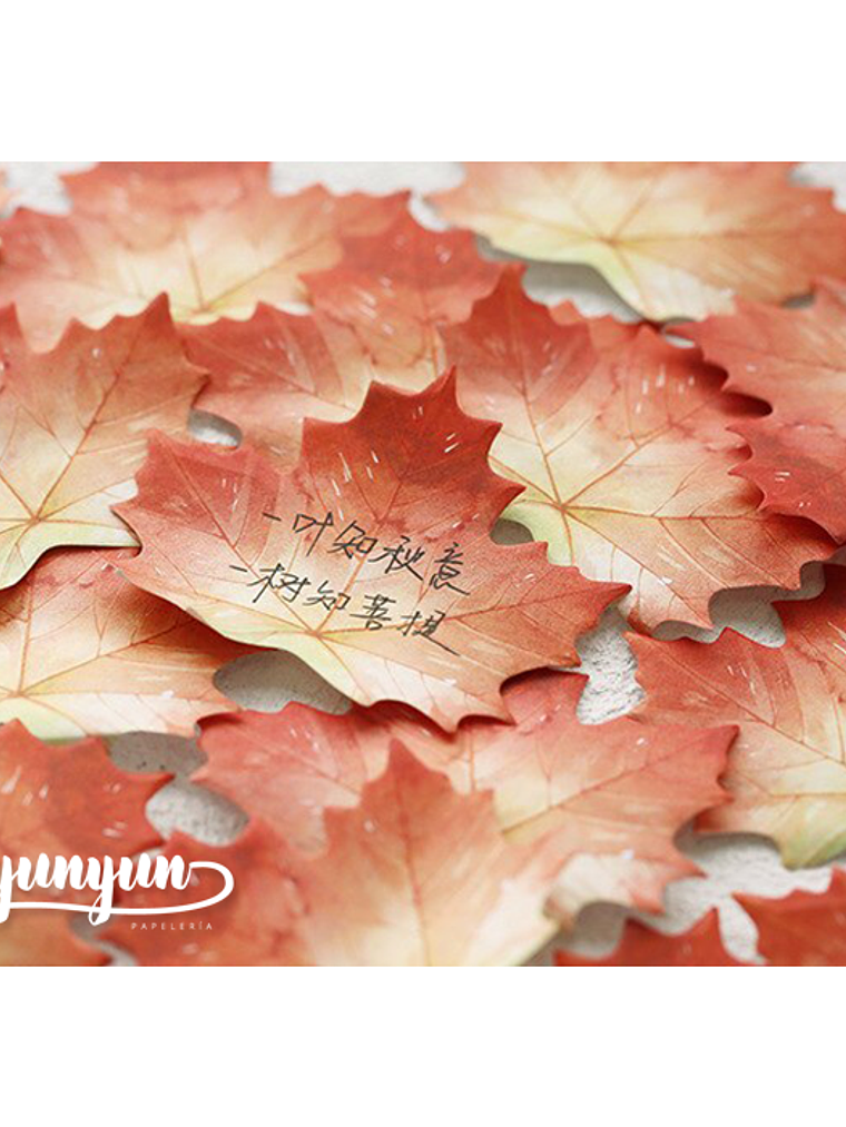 Notas Adhesivas Hojas Otoñales - 30 pzas  5