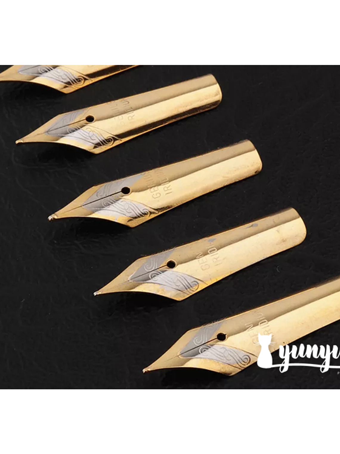 Plumín Genius Ridium 1