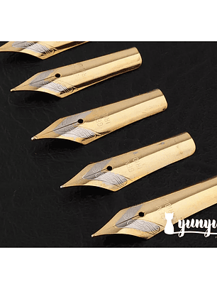 Plumín Genius Ridium