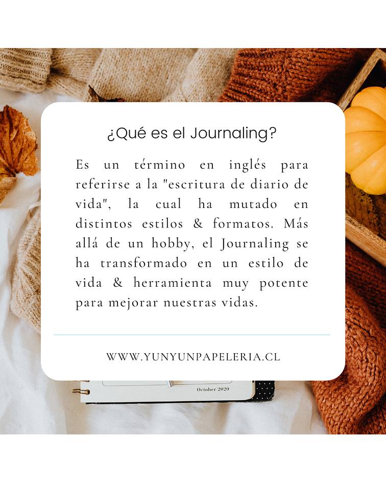 Curso Básico de Journaling - 8 de enero 2022 (online)