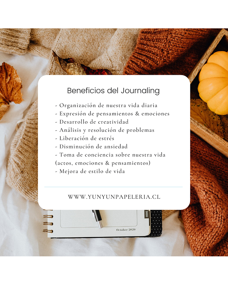 Curso Básico de Journaling - 8 de enero 2022 (online)