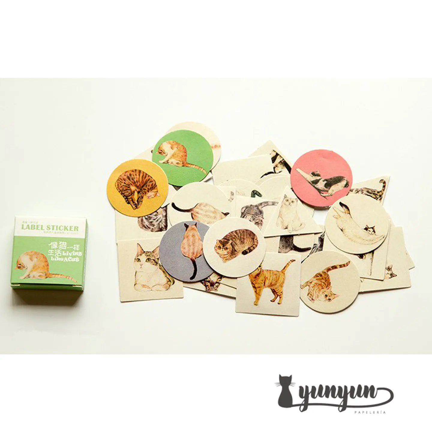 Caja Stickers Gatos #10 1
