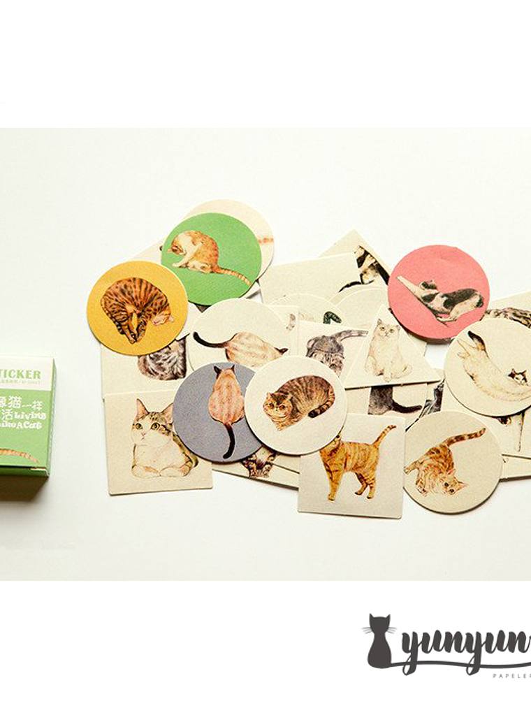 Caja Stickers Gatos #10 1