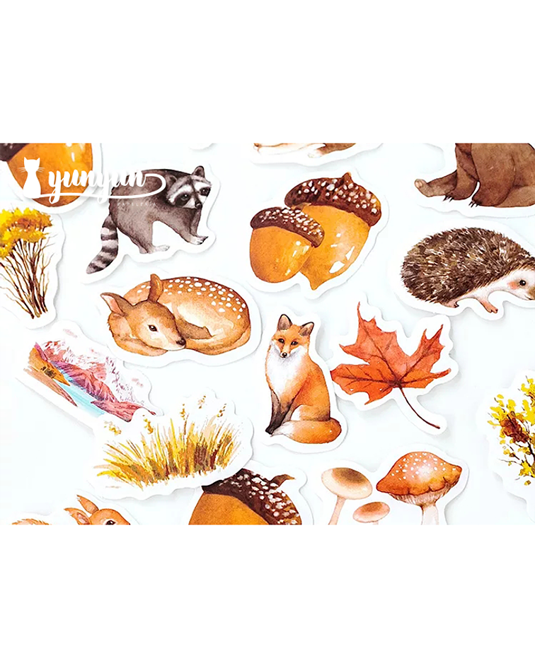 Caja Stickers Animales del Bosque - 45 pzas