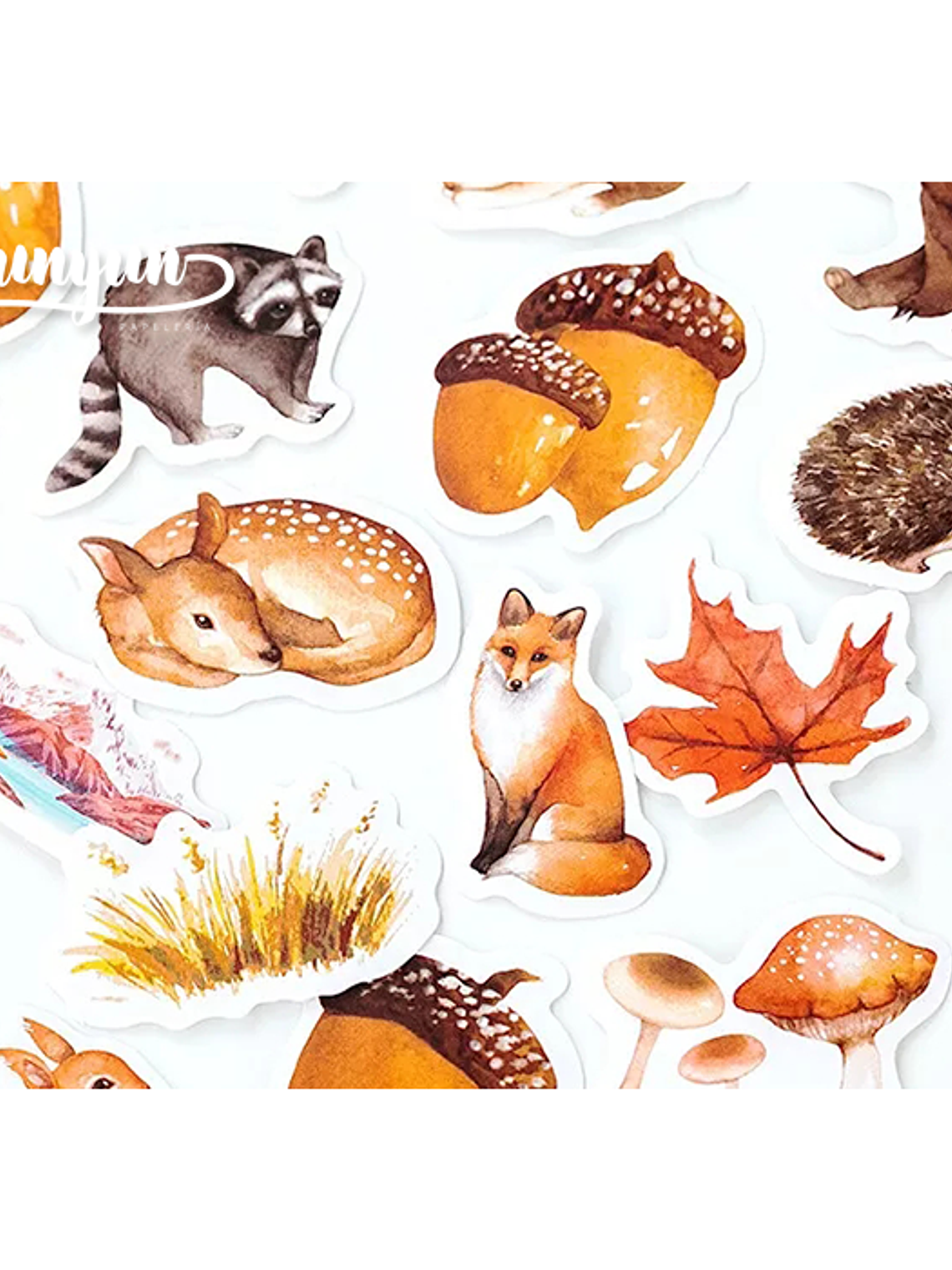 Caja Stickers Animales del Bosque - 45 pzas 2