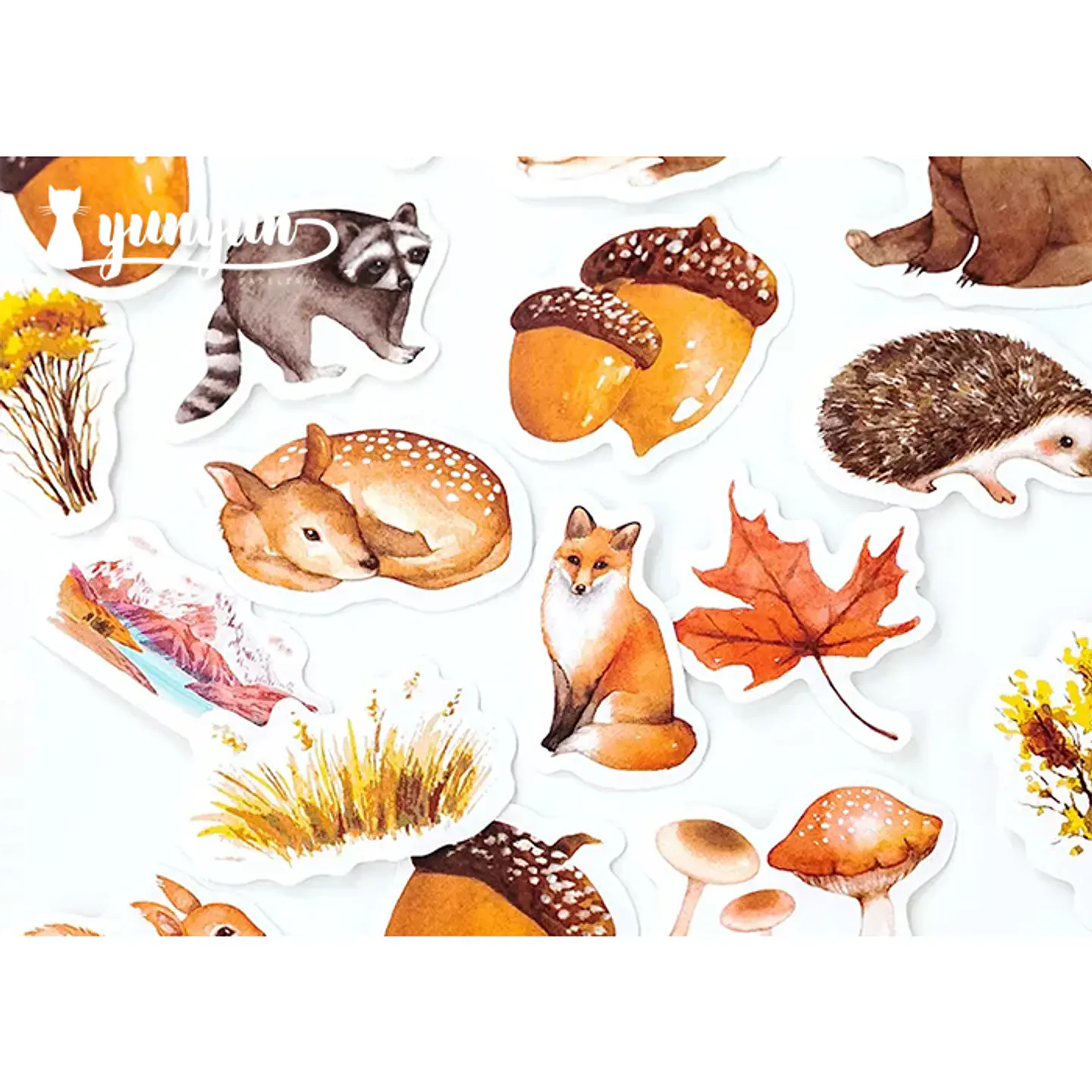Caja Stickers Animales del Bosque - 45 pzas 2