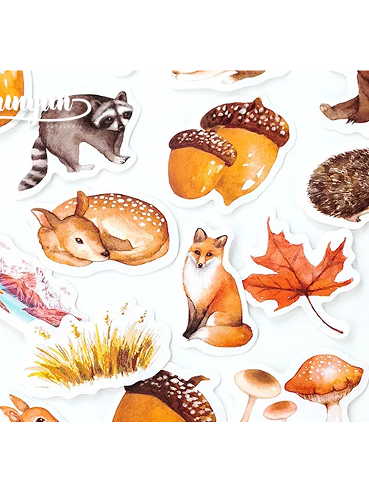 Caja Stickers Animales del Bosque - 45 pzas 2