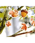 Caja Stickers Animales del Bosque - 45 pzas