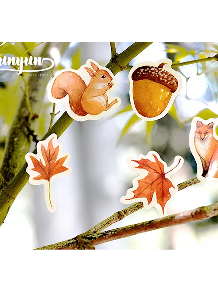 Caja Stickers Animales del Bosque - 45 pzas 3