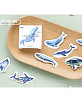 Caja Stickers Ballenas II - 45 pzas