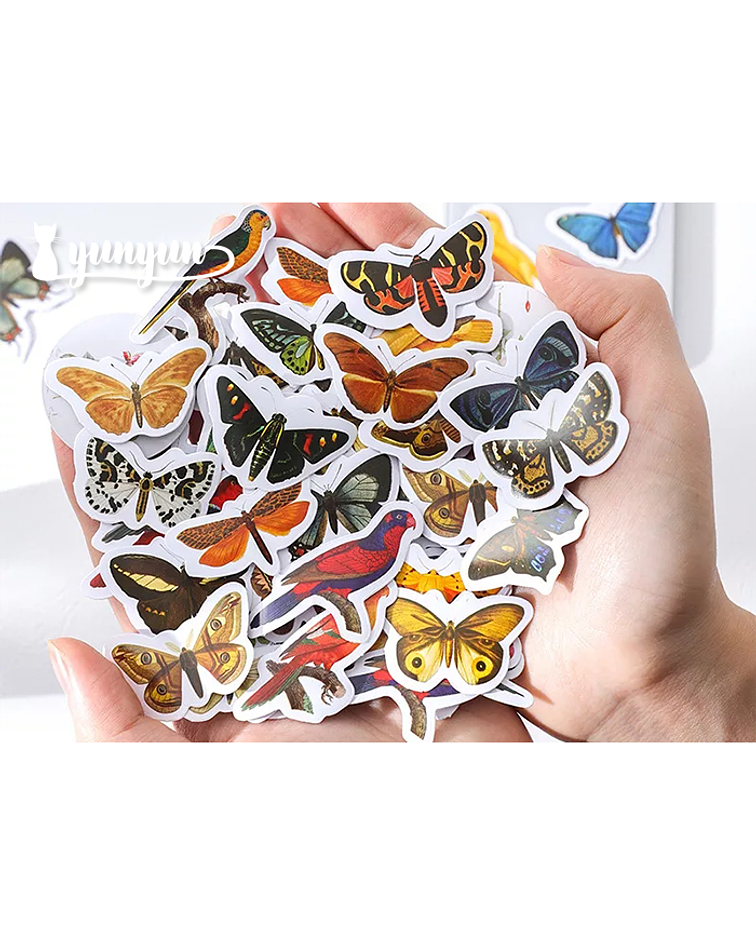 Caja Stickers Mariposas II - 45 pzas