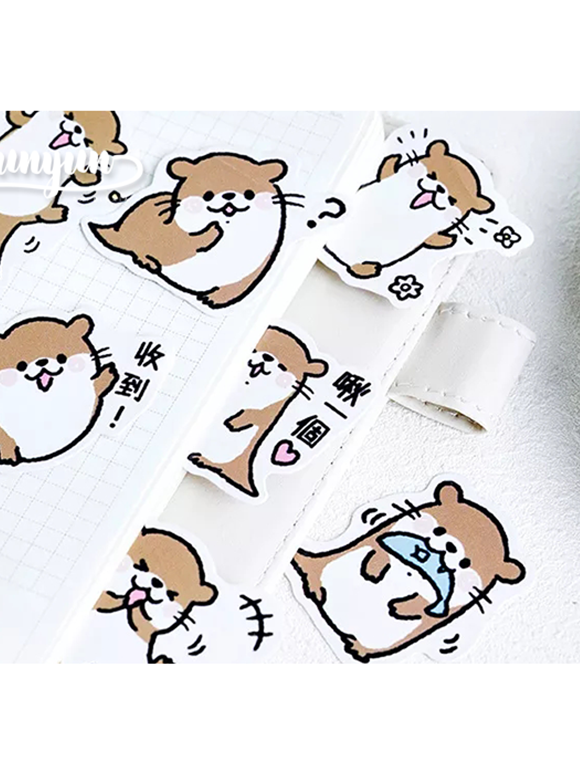 Caja Stickers Nutria - 45 pzas 2