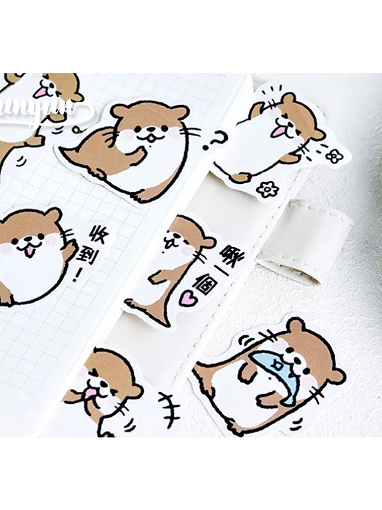 Caja Stickers Nutria - 45 pzas 2