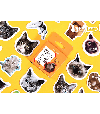 Caja Stickers Gatos #2 - 45 pzas