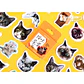 Caja Stickers Gatos #2 - 45 pzas - Miniatura 1