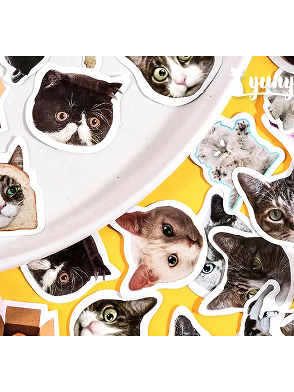 Caja Stickers Gatos #2 - 45 pzas 2