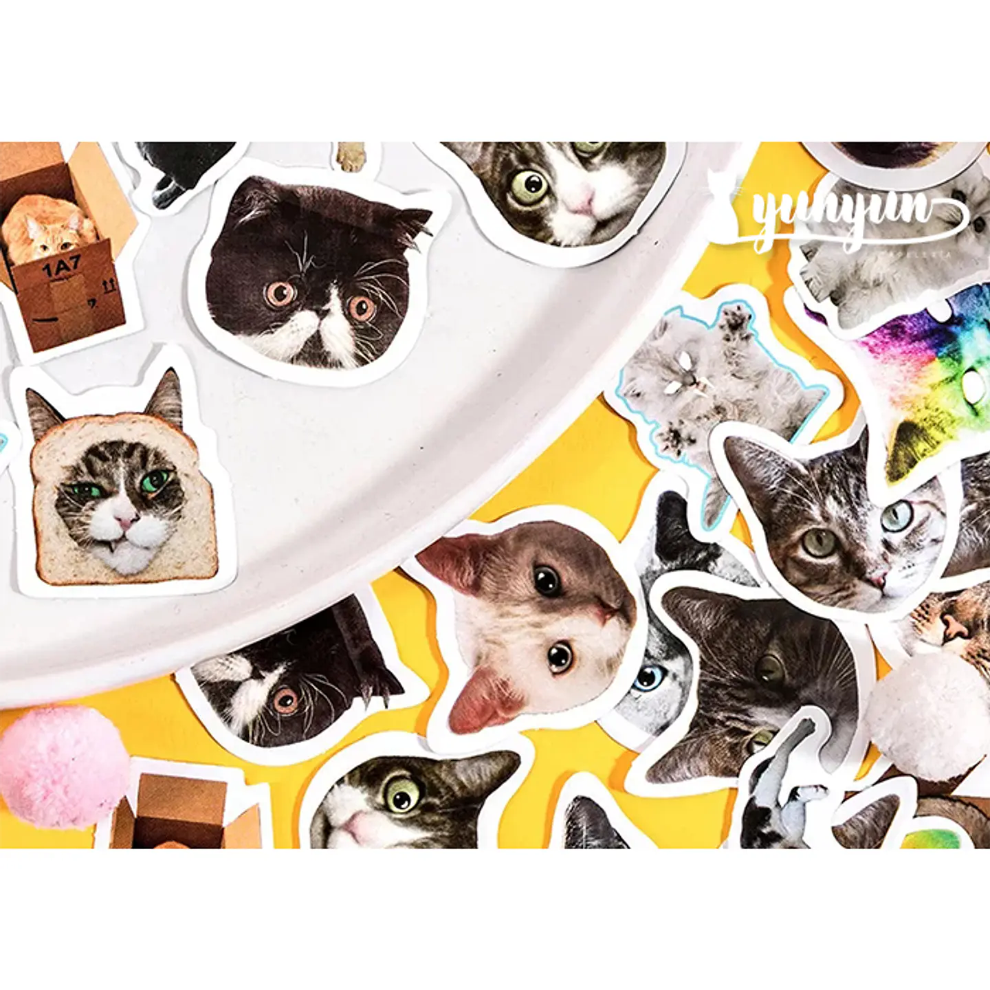 Caja Stickers Gatos #2 - 45 pzas 2