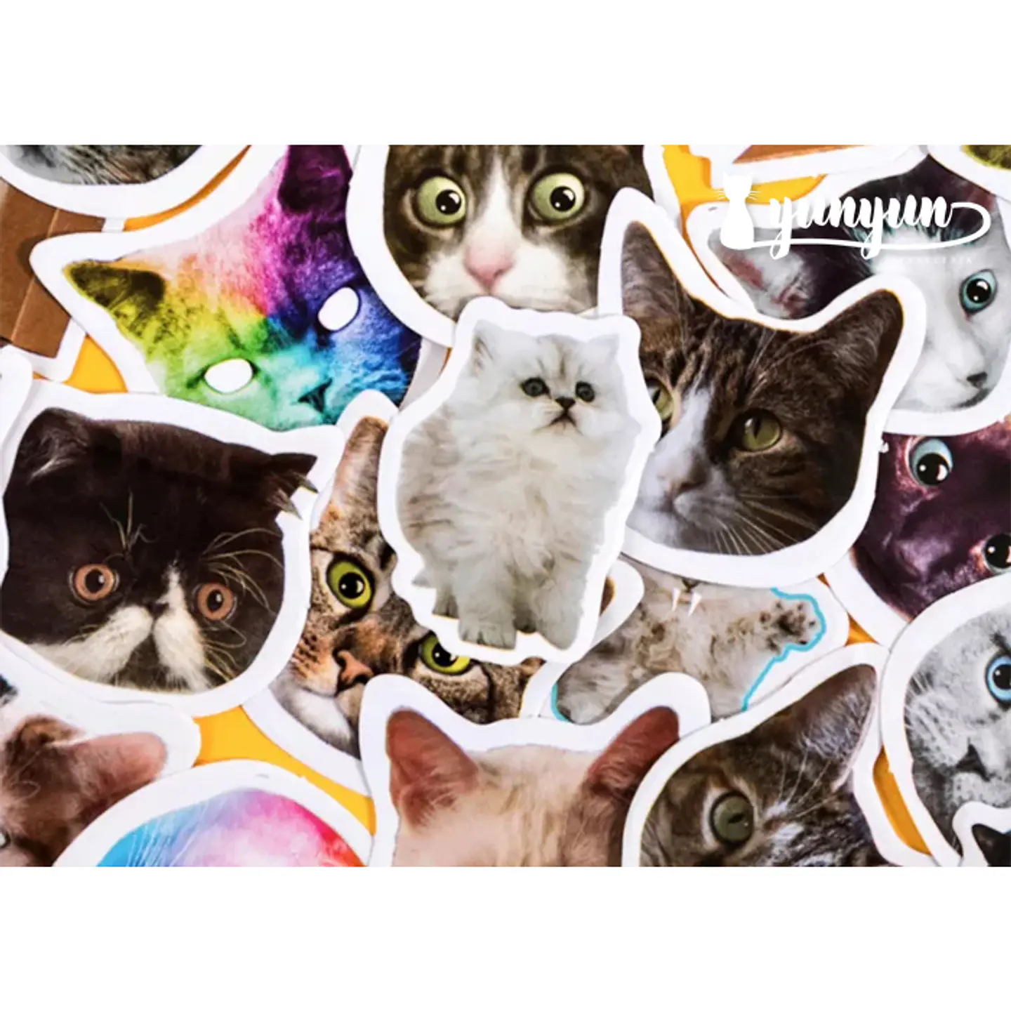 Caja Stickers Gatos #2 - 45 pzas 3