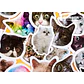 Caja Stickers Gatos #2 - 45 pzas - Miniatura 3