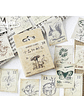 Caja Stickers Estampillas Vintage - 45 pzas - Miniatura 1