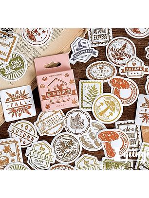 Caja Stickers Vintage #17