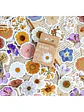 Caja Stickers Flores #3 - Miniatura 1