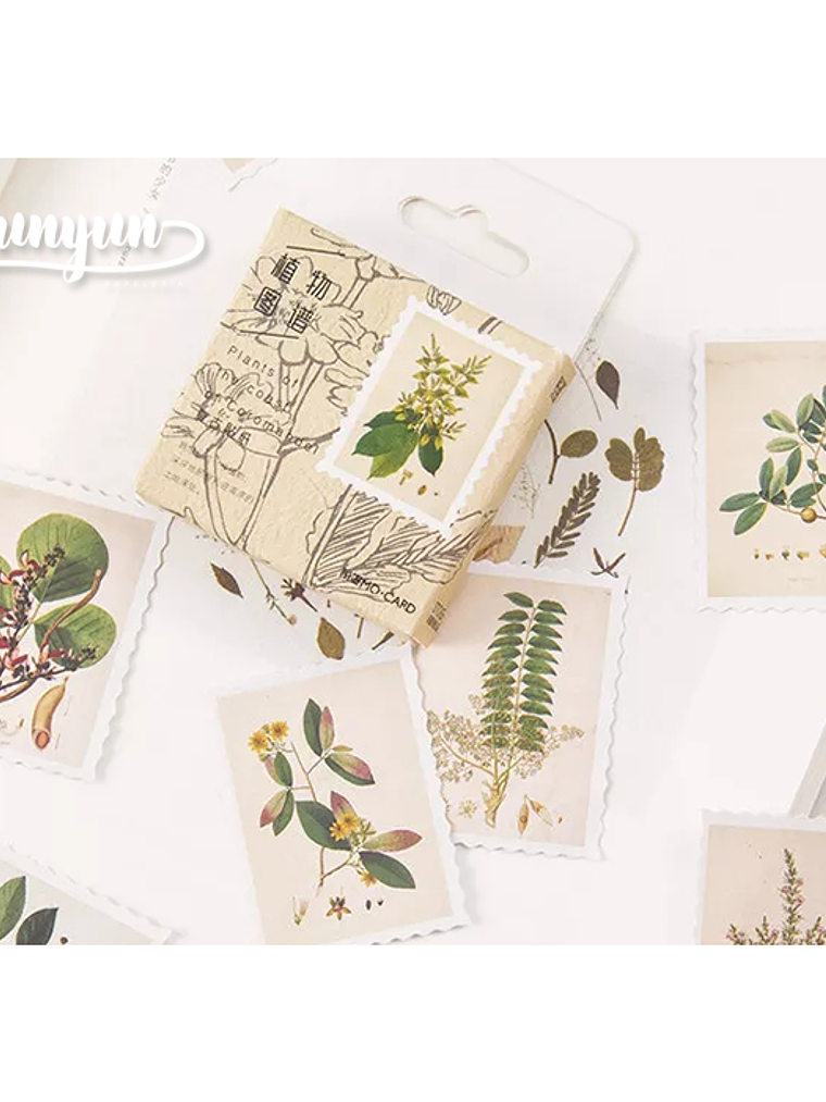 Caja Stickers Estampillas Botánicas II - 45 pzas 1
