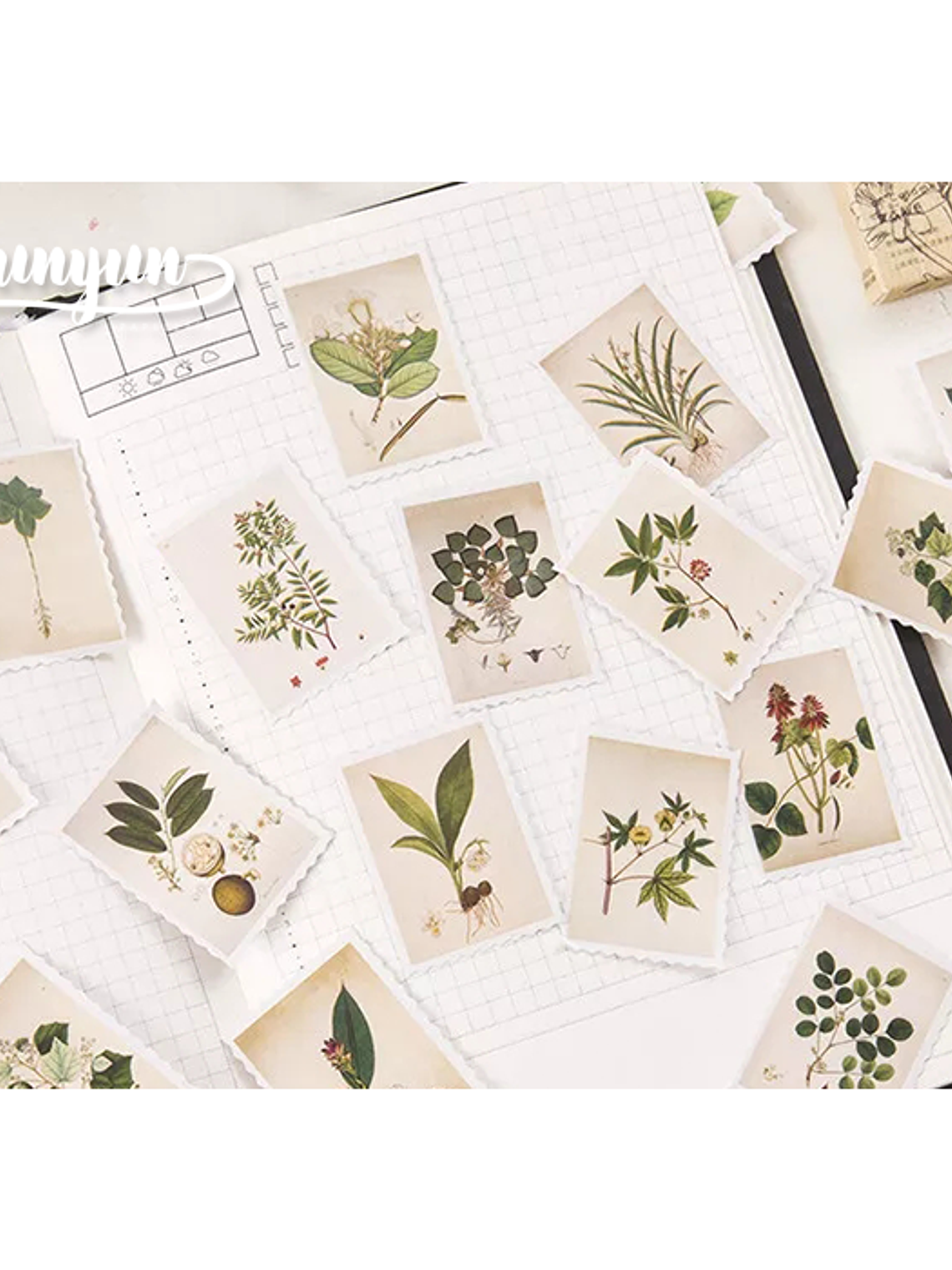 Caja Stickers Estampillas Botánicas II - 45 pzas 2