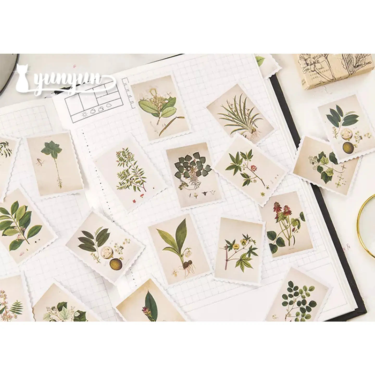 Caja Stickers Estampillas Botánicas II - 45 pzas 2