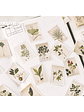 Caja Stickers Estampillas Botánicas II - 45 pzas - Miniatura 2