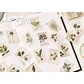 Caja Stickers Estampillas Botánicas II - 45 pzas - Miniatura 2