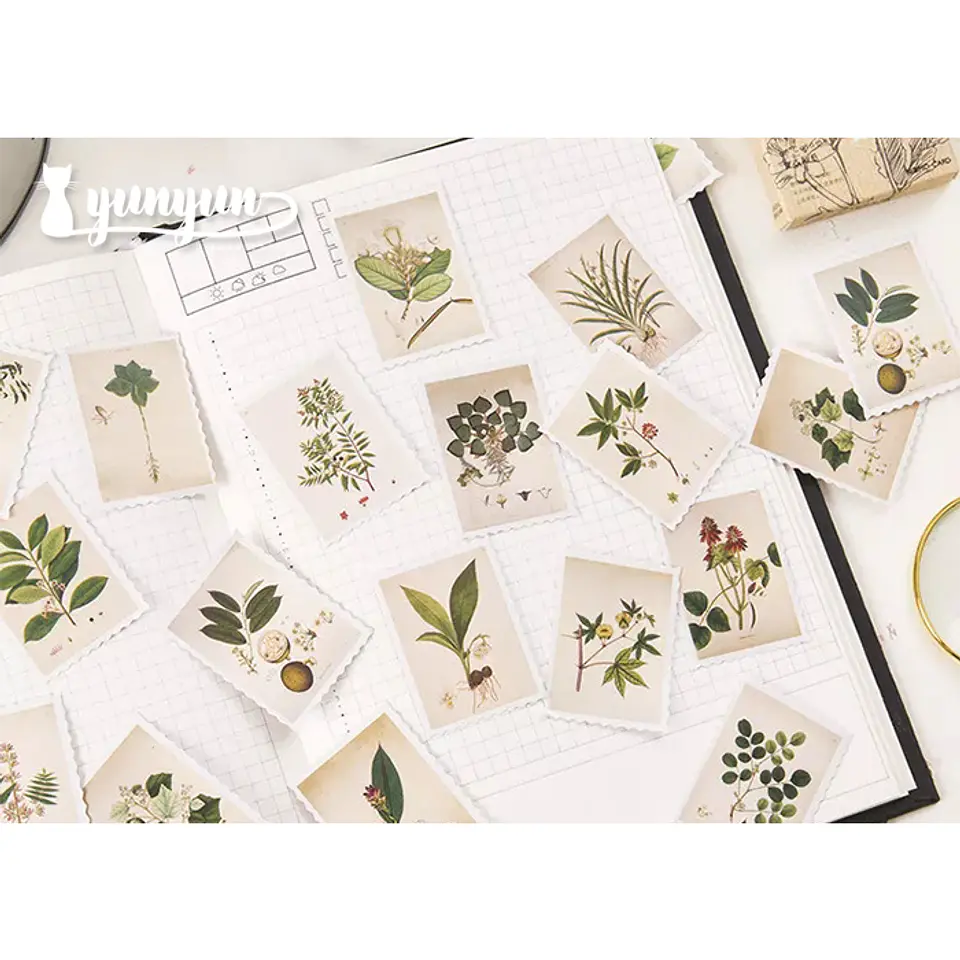 Caja Stickers Estampillas Botánicas II - 45 pzas 2