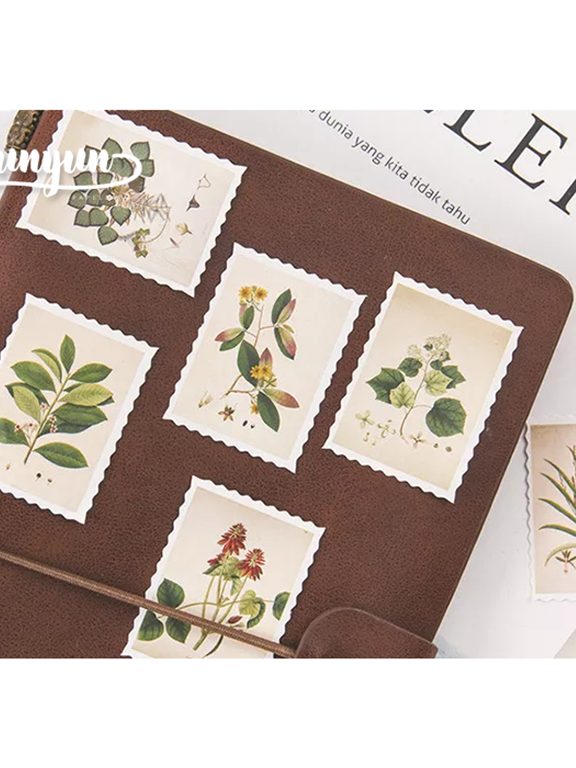 Caja Stickers Estampillas Botánicas II - 45 pzas 3