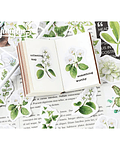 Caja Stickers Flores Blancas - 45 pzas
