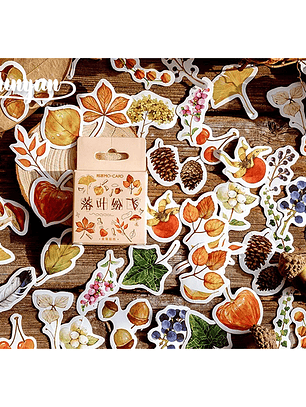 Caja Stickers Bosque Otoñal - 45 pzas