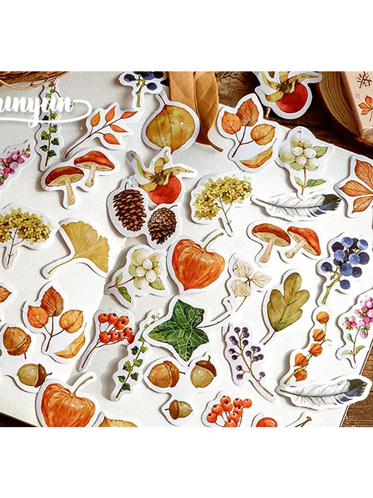 Caja Stickers Bosque Otoñal - 45 pzas 2