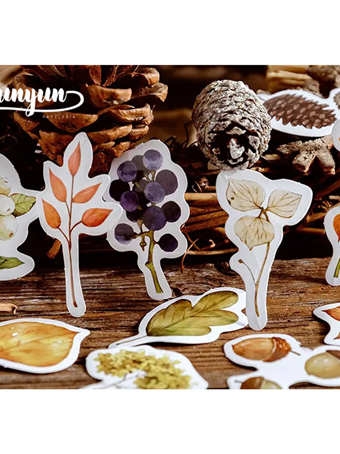 Caja Stickers Bosque Otoñal - 45 pzas 3