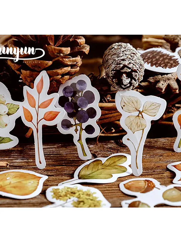 Caja Stickers Bosque Otoñal - 45 pzas 3