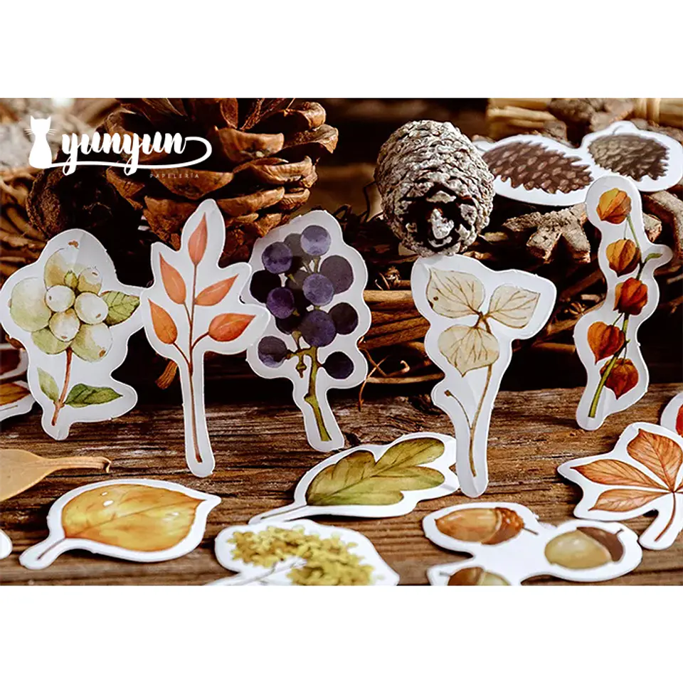 Caja Stickers Bosque Otoñal - 45 pzas 3