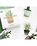 Caja Stickers Cactus - 45 pzas