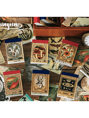 Mini Sticker Book II - 50 pzas