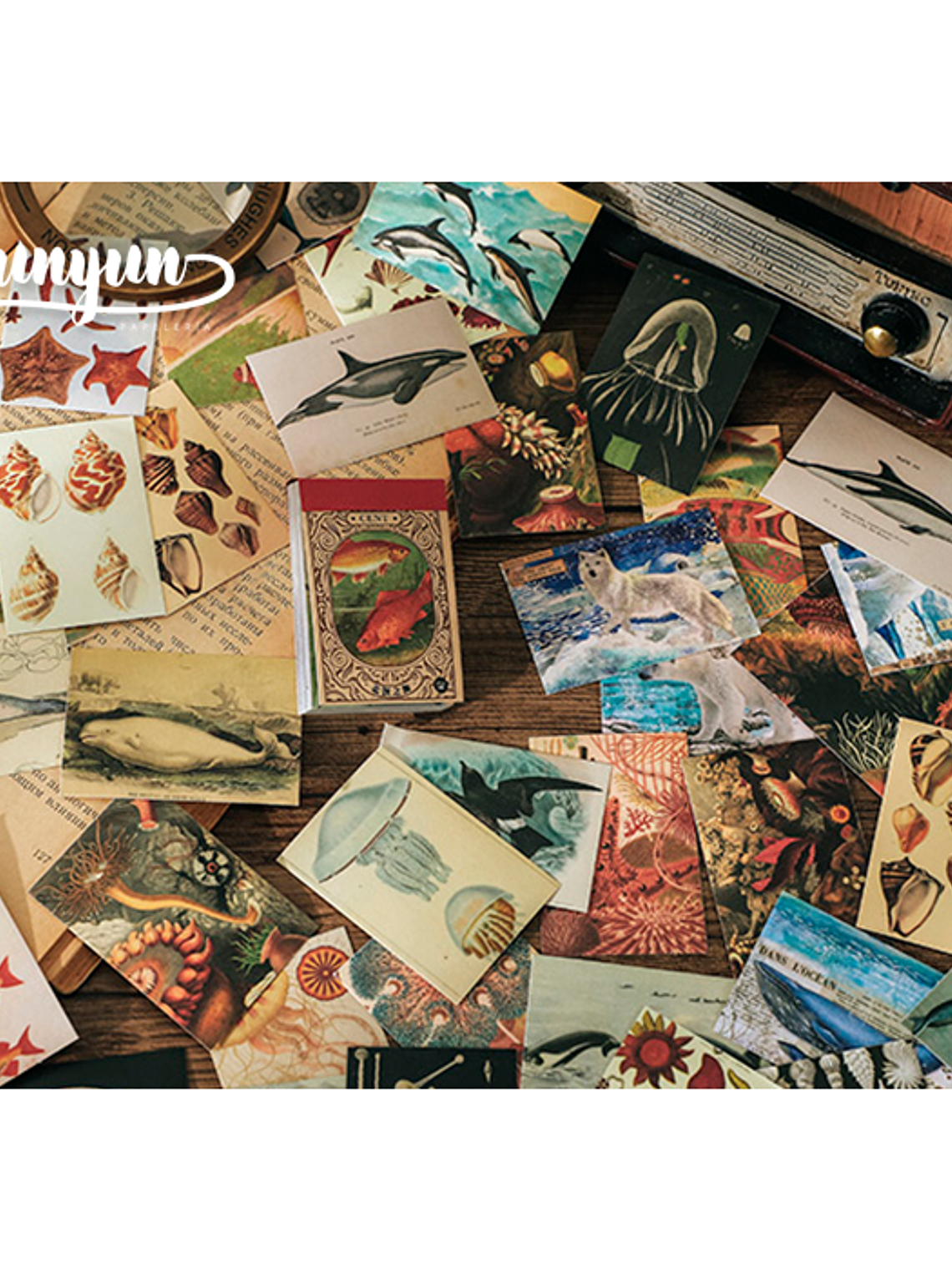 Mini Sticker Book II - 50 pzas 4