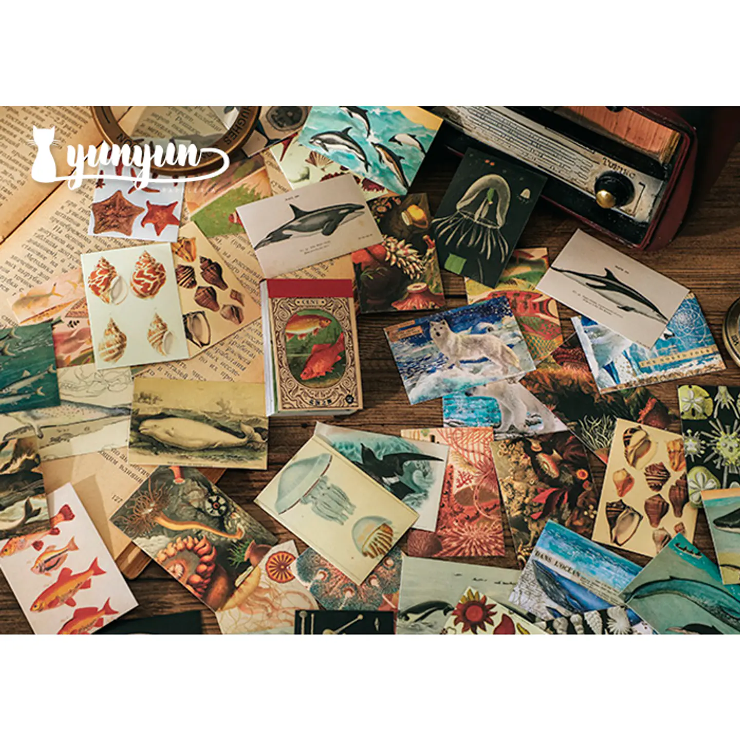 Mini Sticker Book II - 50 pzas 4