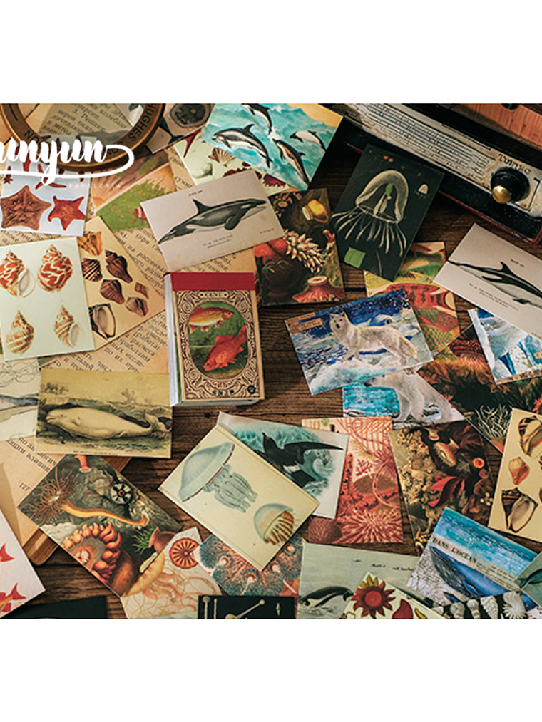 Mini Sticker Book II - 50 pzas 4