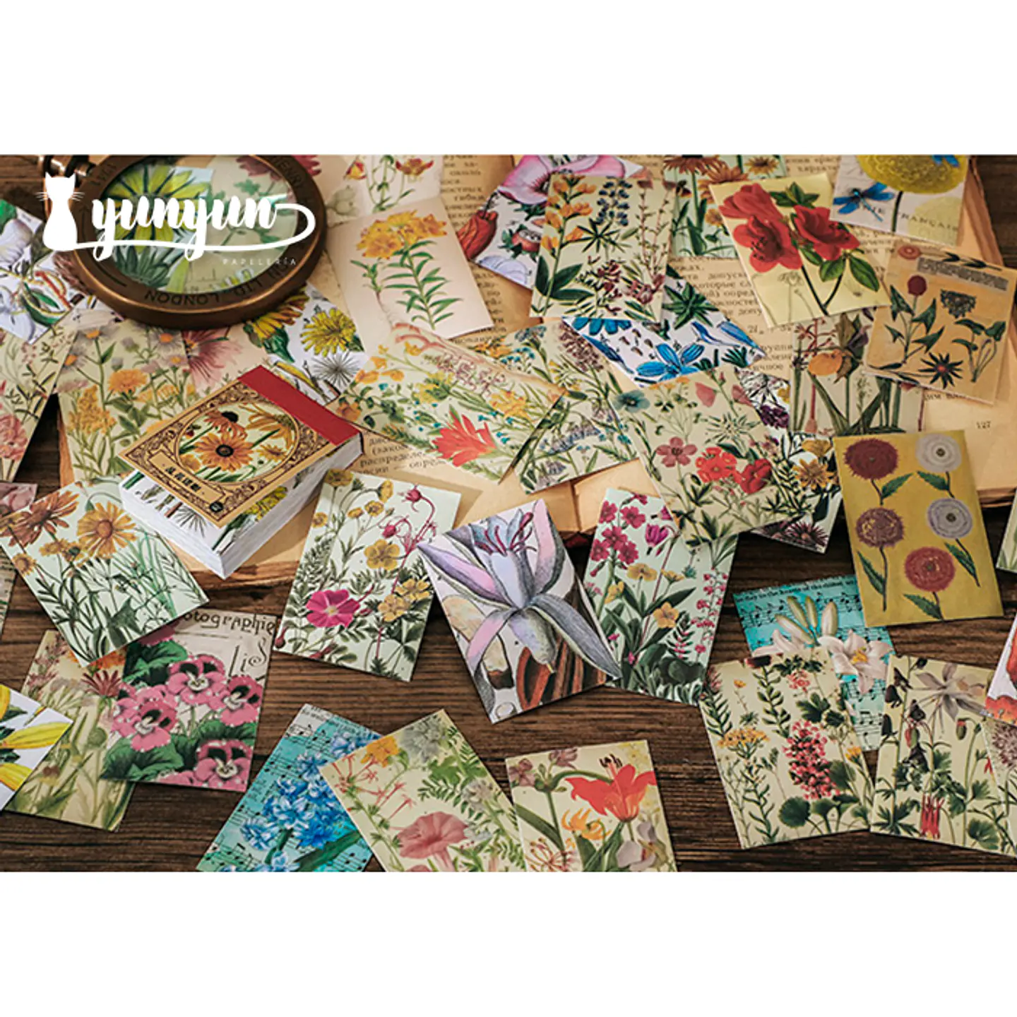 Mini Sticker Book II - 50 pzas 6