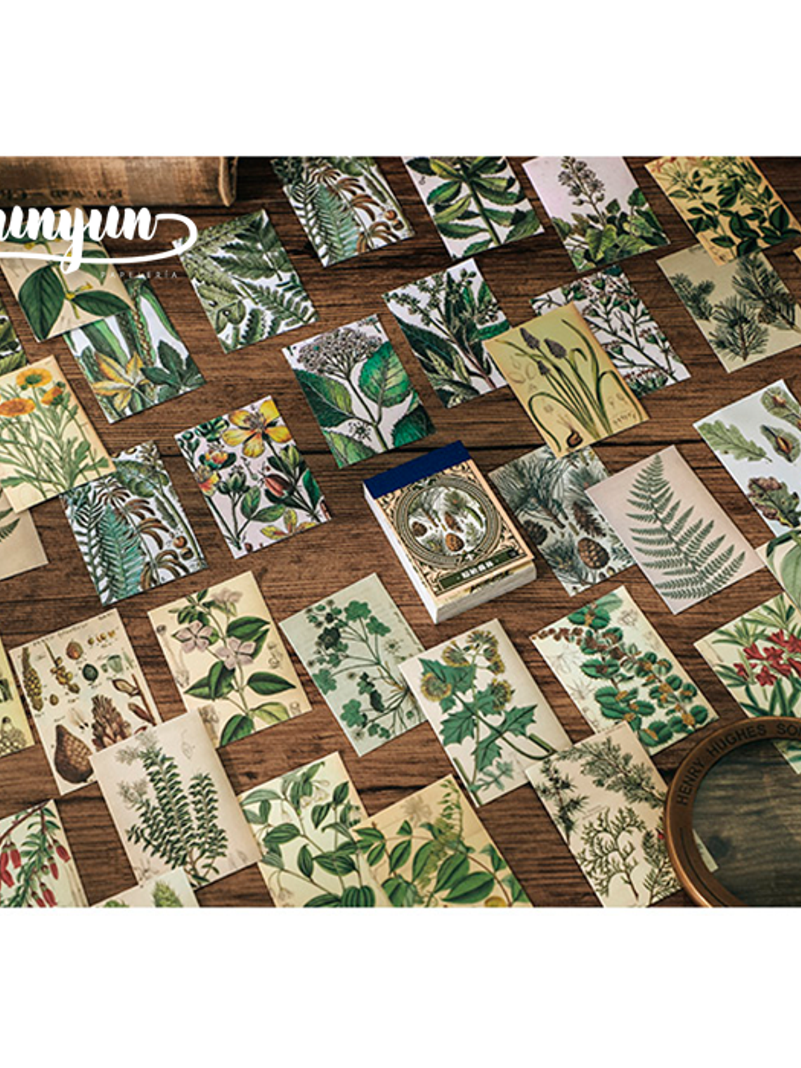 Mini Sticker Book II - 50 pzas 8