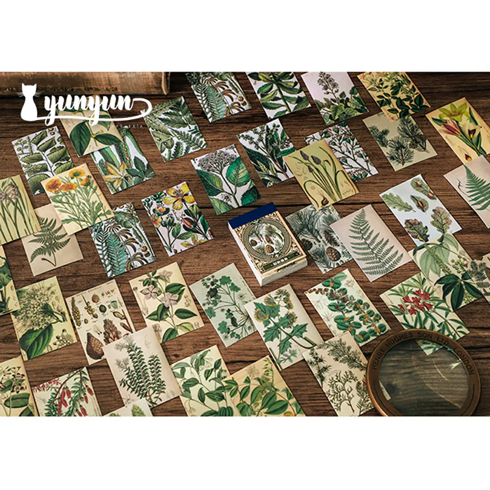 Mini Sticker Book II - 50 pzas 8