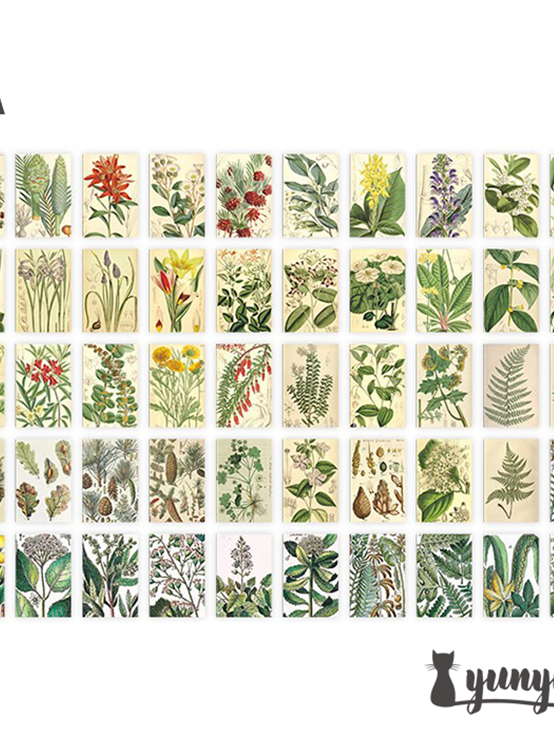 Mini Sticker Book II - 50 pzas 9