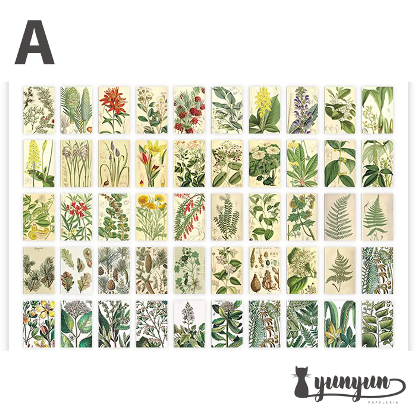Mini Sticker Book II - 50 pzas 9