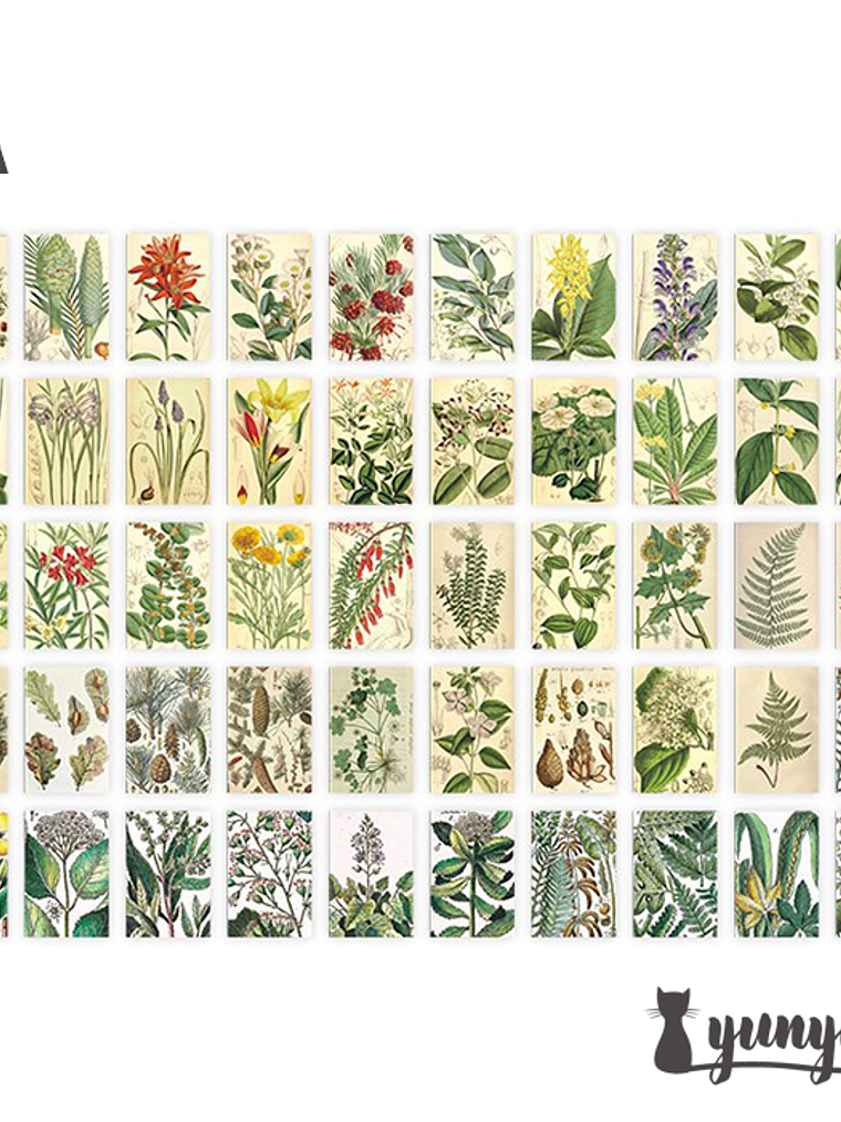 Mini Sticker Book II - 50 pzas 9